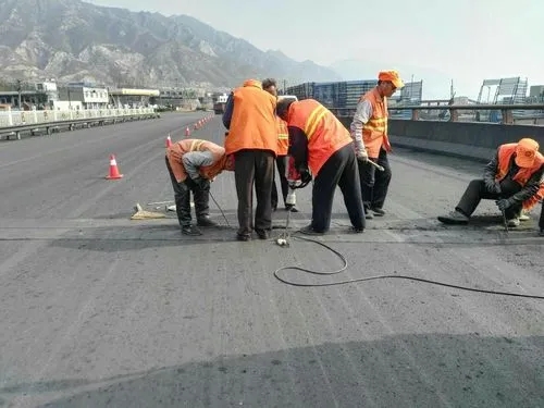 周口道路桥梁病害治理